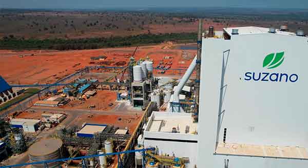 Suzano – Timelapse nova fábrica de Ribas do Rio Pardo